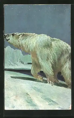 Künstler-AK Eisbär wandelt durch die Polarnacht