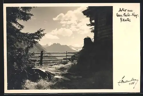 Foto-AK Hans Hruschka Nr. 985: Motiv am Herm. Hecht-Weg, Zillertal