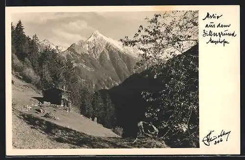 Foto-AK Hans Hruschka Nr. 306: Mayrhofen, Motiv aus dem Zillergrund