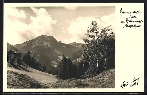 Foto-AK Hans Hruschka Nr. 268: Mayrhofen, Steinerkogelhaus mit Grünberg