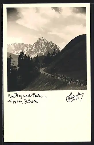 Foto-AK Hans Hruschka Nr. 1455: Hippach im Zillertal, Am Weg nach Perler