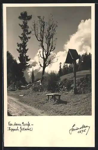 Foto-AK Hans Hruschka Nr. 1275: Hippach /Zillertal, Partie vor dem Dorf mit Wegkreuz