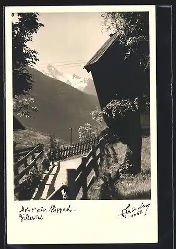 AK Hippach im Zillertal, Motiv aus Hippach