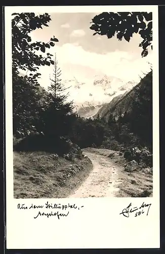 Foto-AK Hans Hruschka Nr. 586: Mayrhofen, Partie aus dem Stilluptal
