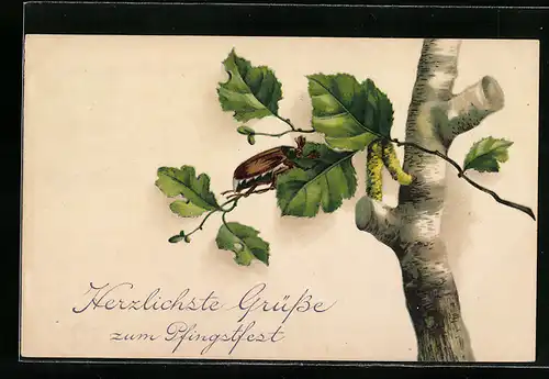 AK Maikäfer auf einem Blatt zu Pfingsten