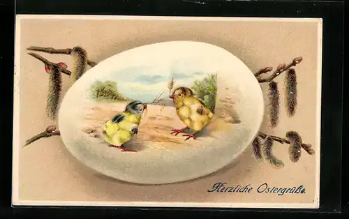 AK Osterküken streiten sich um einen Strohhalm