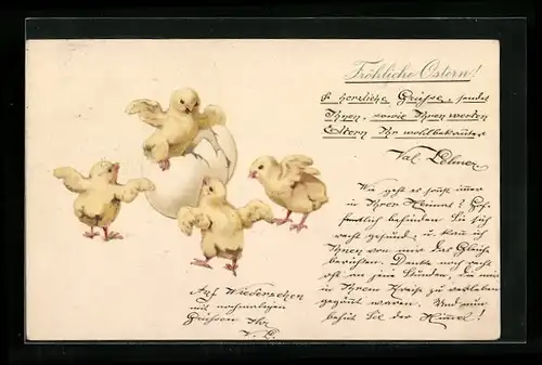 AK Osterküken schlüpft aus einem Ei