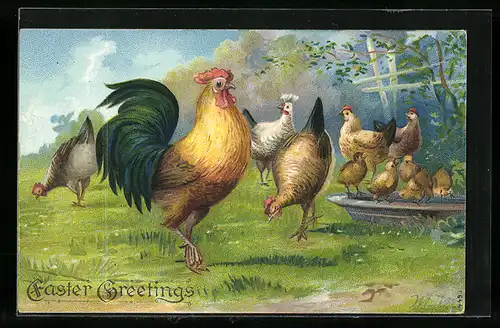 AK Stolzer Hahn mit seinen Hühnern auf der Wiese Fröhliche Ostern, Osterküken