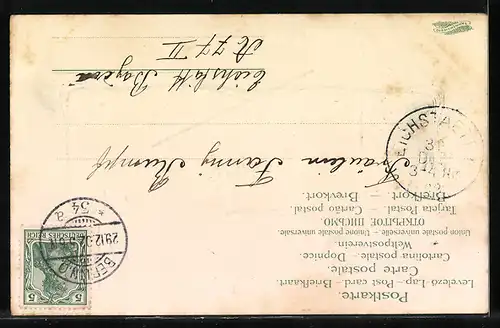 AK Siegel mit Jahreszahl 1903, Engelchen mit Neujahrsgruss