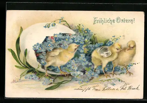 AK Osterküken mit Vergissmeinnicht