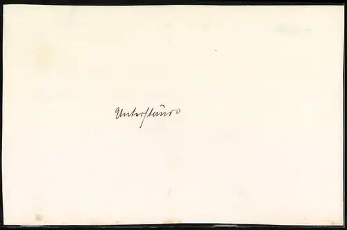 Fotografie 1.WK, getarnter Soldaten-Unterstand in Frontnähe