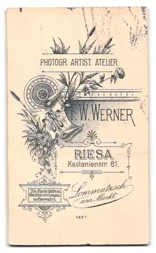 Fotografie Atelier Werner, Riesa, Kastanienstrasse 81, Süsses Kindchen im Taufkleidchen