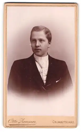 Fotografie Otto Zeumer, Crimmitschau, Jacobsgasse, Junger Herr mit Krawatte im Anzug