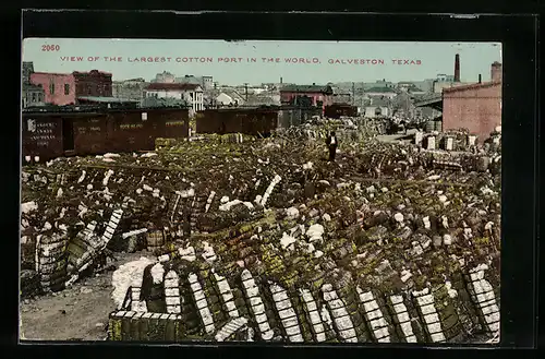 AK Galveston, TX, View of the largest cotton port in the world