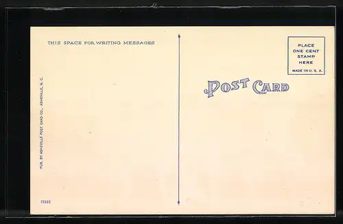 AK Pulaski, VA, Pulaski County Court House