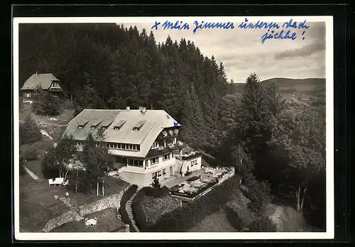 AK Hinterzarten im Schwarzwald, Haus am Tannenhain