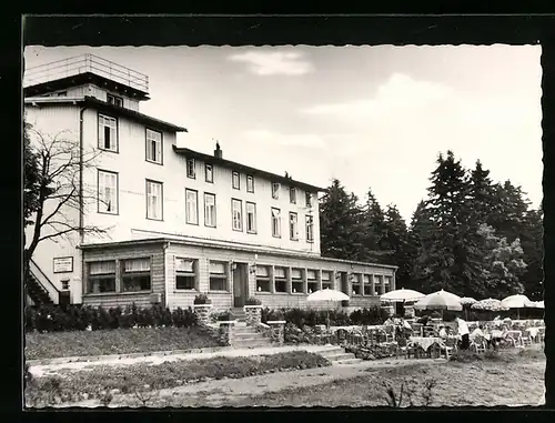 AK Walkenried, Berghotel Stöberhai im Harz