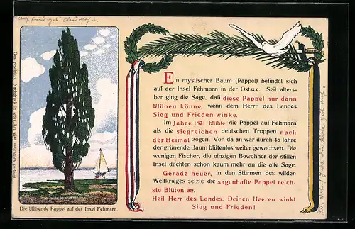 AK Insel Fehmarn, Mystische Blühende Pappel, blüht wenn Sieg und Frieden winken