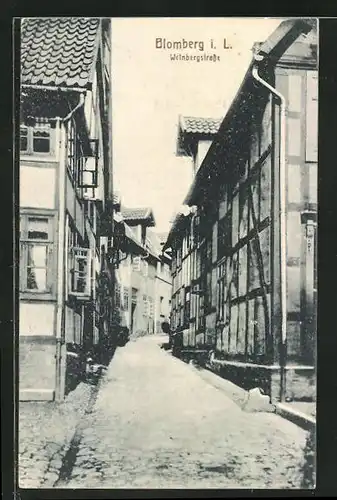 AK Blomberg i. L., Blick in die Weinbergstrasse