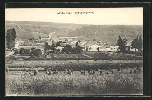 AK Aulnois-sous-Vertusey, Panorama