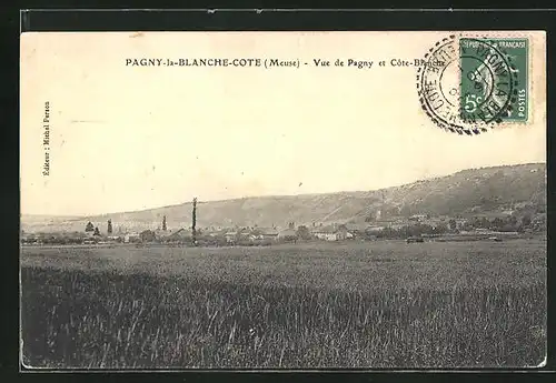 AK Pagny-la-Blanche-Cote, Vue de Pagny et Cote-Blanche