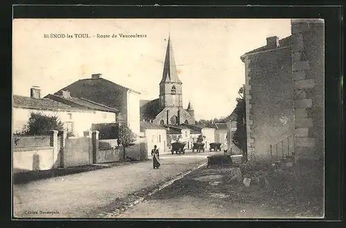 AK Blenod-les-Toul, Route de Vaucouleurs