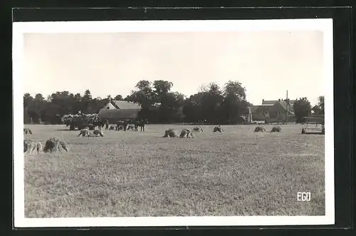 AK Bazoches-les-Gallerandes, Ferme et Bois de Landreville