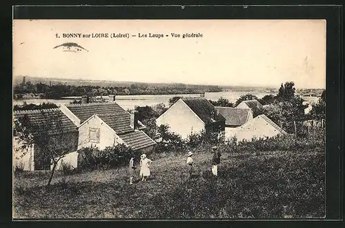 AK Bonny-sur-Loire, les Loups, Vue generale
