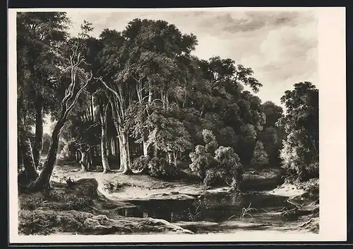 Foto-AK Deutscher Kunstverlag, Nr. 10: Schleswig-Holsteinischer Kunstverein Kiel, Holsteinischer Buchenwald