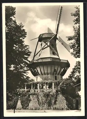 AK Potsdam, historische Mühle in Sanssouci