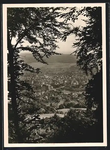 Foto-AK Deutscher Kunstverlag, Nr. 16: Hameln, Blick vom Klüt