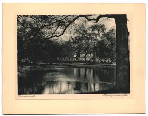 15 Fotografie - Lichtdrucke, Heinrich Lautz, Darmstadt, Ansicht Darmstadt, Strassenbahn, Künsterkolonie, Bahnhof, Schule