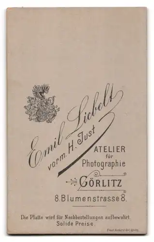 Fotografie Emil Liebelt, Görlitz, Blumenstrasse 8, Dame mit strengem Mittelscheitel und Brosche