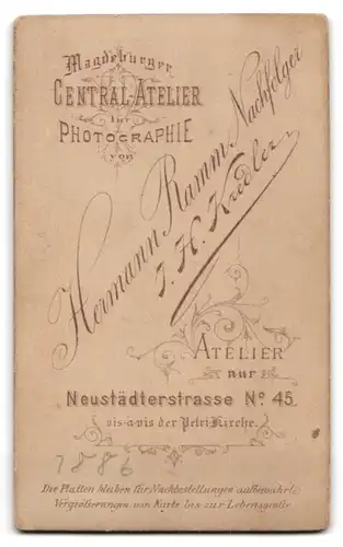 Fotografie Hermann Ramm Nachf., Magdeburg, Neustädterstrasse 45, Junge Dame im taillierten Kleid, mit Armbändern