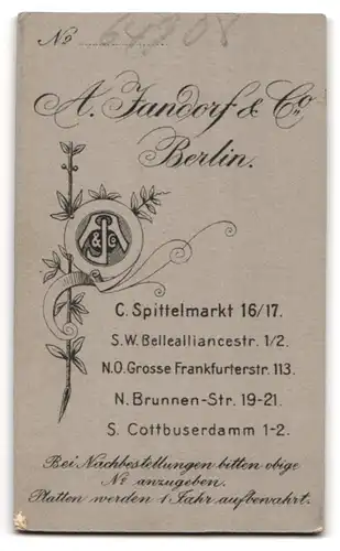 Fotografie A. Jandorf & Co., Berlin, Brunnen-Strasse 19-21, Junge Dame mit Lockenfrisur im festlichen Kleid mit Plissee