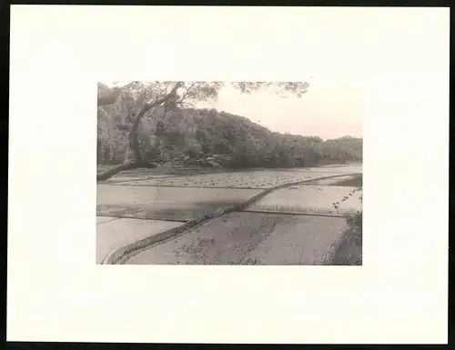 Fotoalbum 46 Fotogravur, Ansicht Taihoku, Reise Taiwan 1930, Rynzanji Tempel, Kilu, Emmahaven-Padang