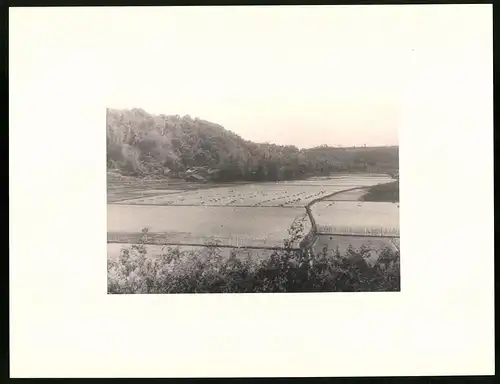 Fotoalbum 46 Fotogravur, Ansicht Taihoku, Reise Taiwan 1930, Rynzanji Tempel, Kilu, Emmahaven-Padang