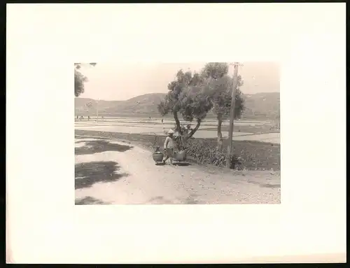 Fotoalbum 46 Fotogravur, Ansicht Taihoku, Reise Taiwan 1930, Rynzanji Tempel, Kilu, Emmahaven-Padang