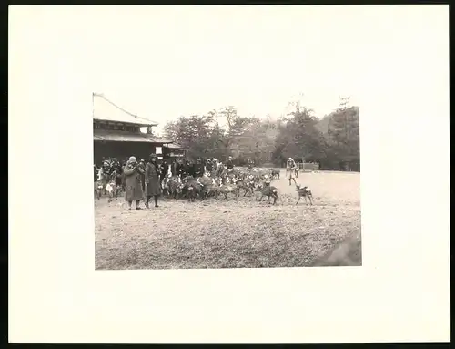 Fotoalbum mit 90 Fotogravur, Ansicht Beppu, Strassen mit Geschäften, Geisha, Segelschiff, Eisenbahnbrücke, Rikscha