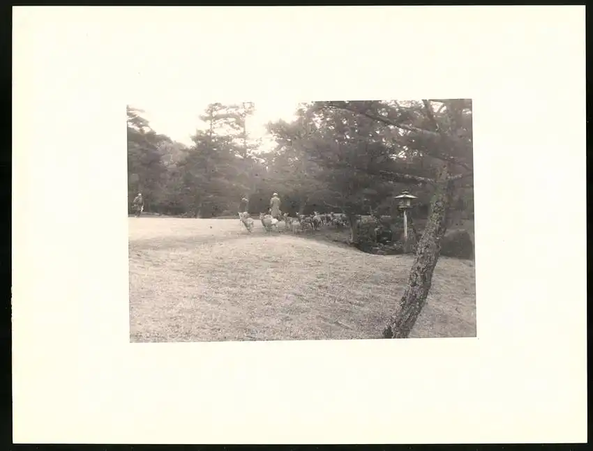 Fotoalbum mit 90 Fotogravur, Ansicht Beppu, Strassen mit Geschäften, Geisha, Segelschiff, Eisenbahnbrücke, Rikscha 14