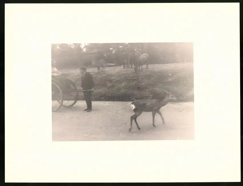 Fotoalbum mit 90 Fotogravur, Ansicht Beppu, Strassen mit Geschäften, Geisha, Segelschiff, Eisenbahnbrücke, Rikscha 17