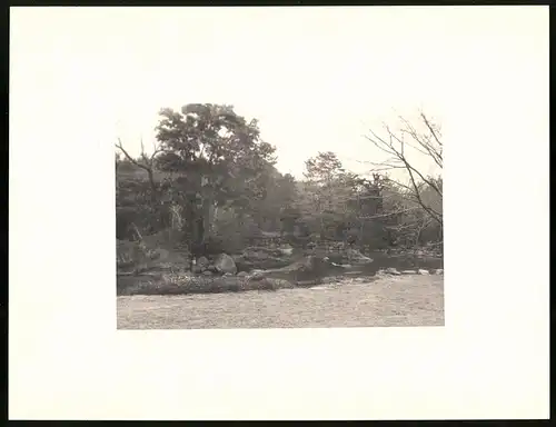 Fotoalbum mit 90 Fotogravur, Ansicht Beppu, Strassen mit Geschäften, Geisha, Segelschiff, Eisenbahnbrücke, Rikscha