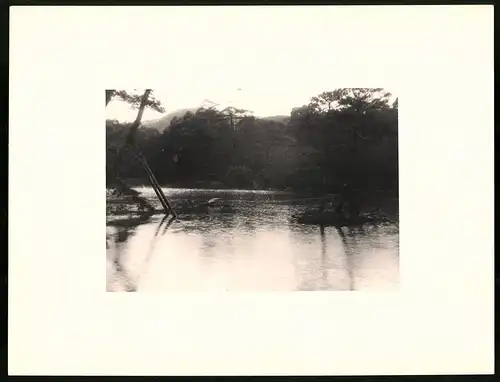 Fotoalbum mit 90 Fotogravur, Ansicht Beppu, Strassen mit Geschäften, Geisha, Segelschiff, Eisenbahnbrücke, Rikscha