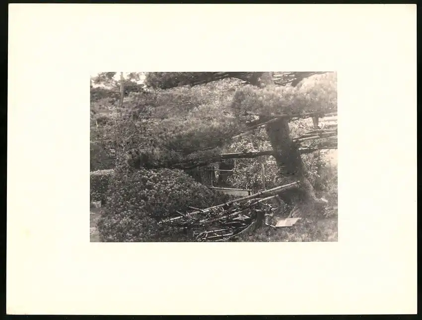 Fotoalbum mit 90 Fotogravur, Ansicht Beppu, Strassen mit Geschäften, Geisha, Segelschiff, Eisenbahnbrücke, Rikscha 72