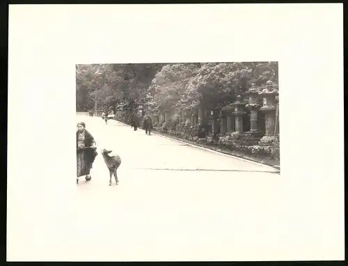 Fotoalbum mit 90 Fotogravur, Ansicht Beppu, Strassen mit Geschäften, Geisha, Segelschiff, Eisenbahnbrücke, Rikscha