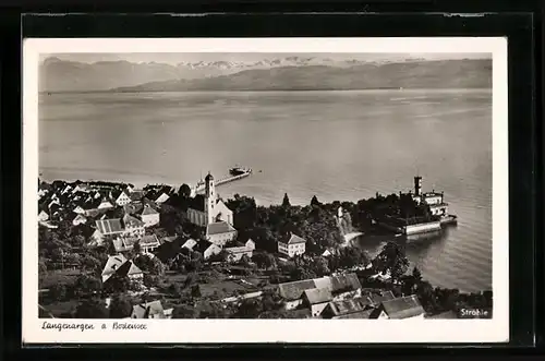 AK Langenargen a. Bodensee, Totalansicht mit Alppanorama