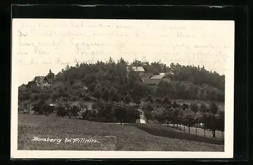 AK Borsberg bei Pillnitz, Ortsansicht mit Aussichtsturm