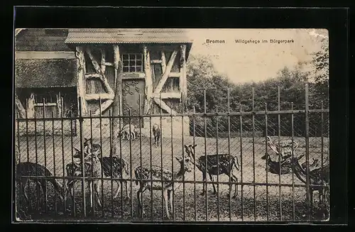 AK Bremen, Wildgehege im Bürgerpark