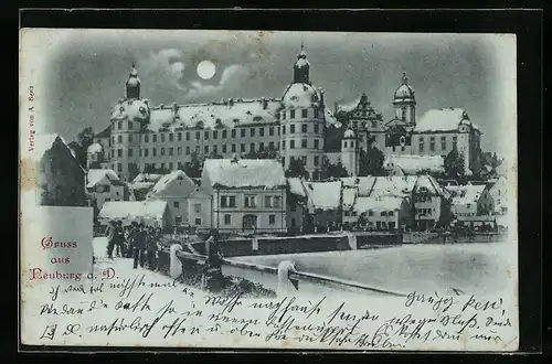 AK Neuburg, Totalansicht im Winter