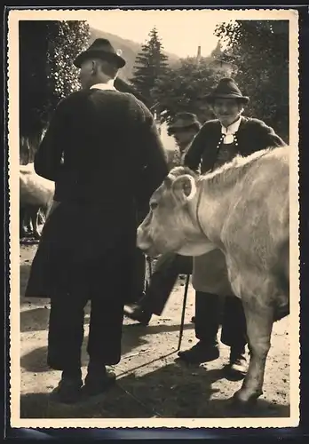 AK Zwei Herren in italienischer Tracht mit Kuhherde